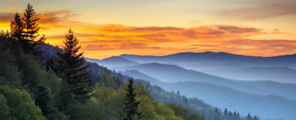 The current image has no alternative text. The file name is: Mountain-Landscape-Graphic.png
